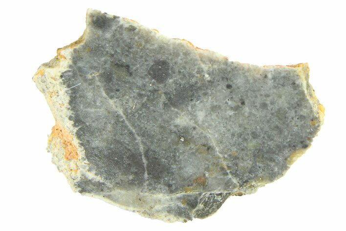 Lunar Meteorite ( g) Slice - Bechar #291704